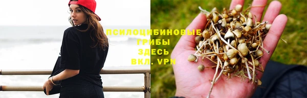 меф Алексеевка