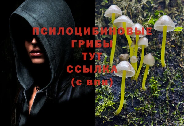 меф Алексеевка