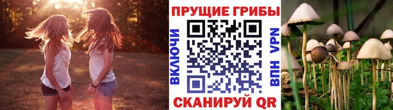 Галлюциногенные грибы Psilocybe  Киреевск 