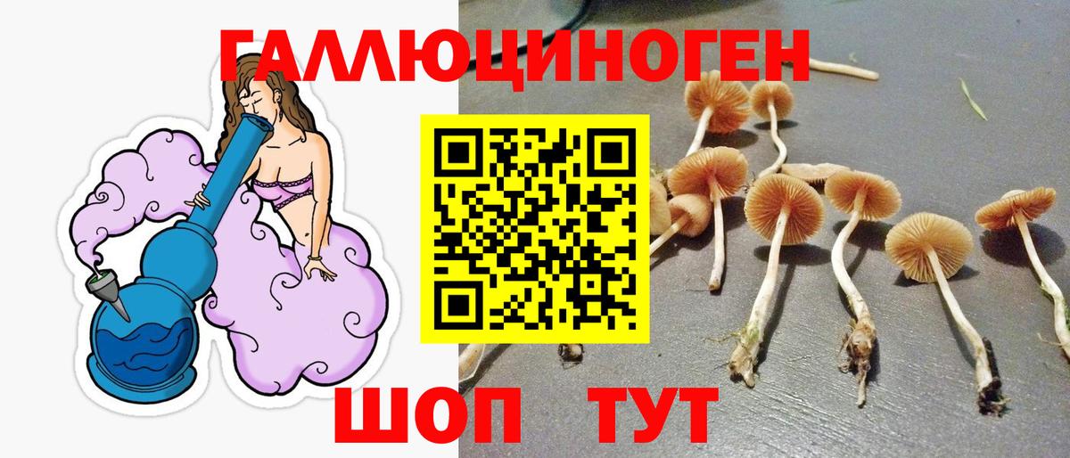 Галлюциногенные грибы GOLDEN TEACHER Киреевск